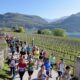 Mezza Maratona del Lago di Caldaro